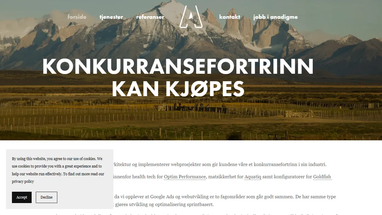 Screenshot of Anadigme AS