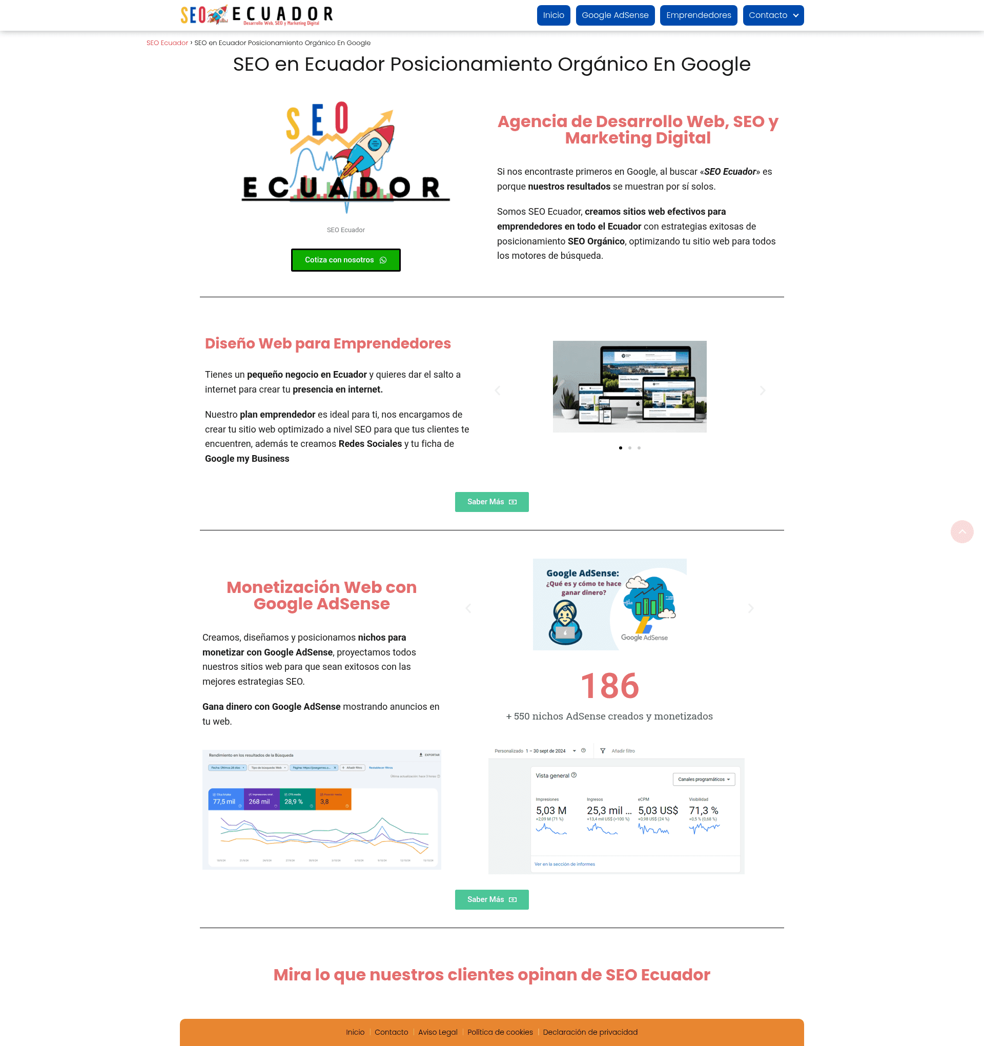 SEO Ecuador website screenshot