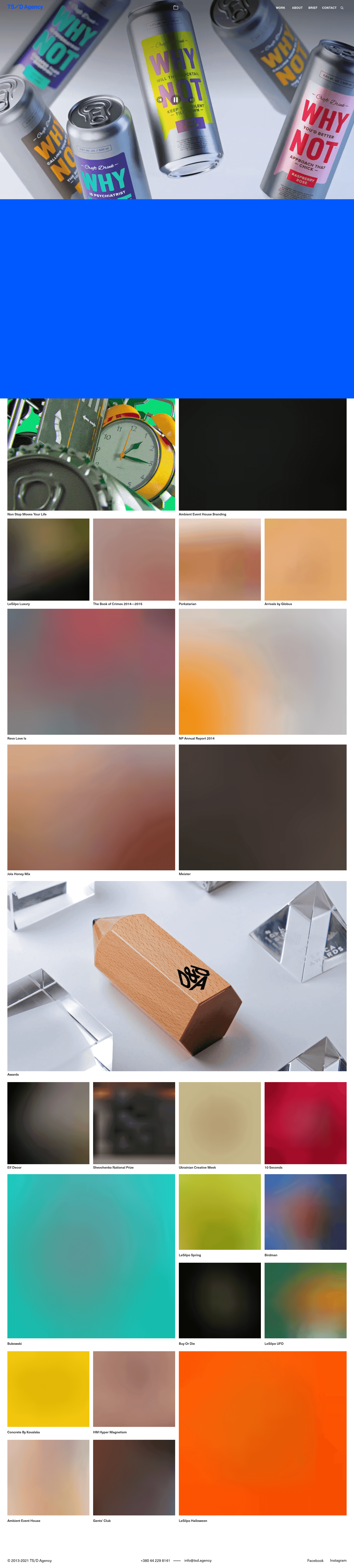 Ts/d Agency website screenshot